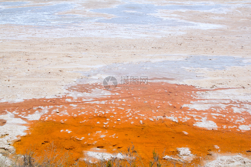 橙色和白色纹理中的干盐制品图片