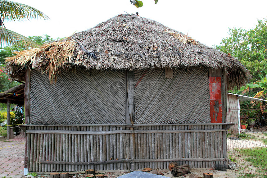 木木制墨西哥传统住房(Mexico)图片