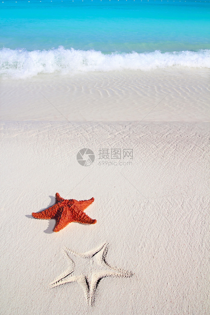 热带沙沙 绿松石海滩海浪泡沫海岸线蓝色地平线海星阳光异国星星支撑图片