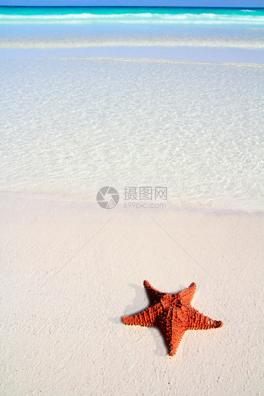 热带沙沙 绿松石海滩宏观海岸线阳光异国海星支撑情调天堂蓝色海浪图片