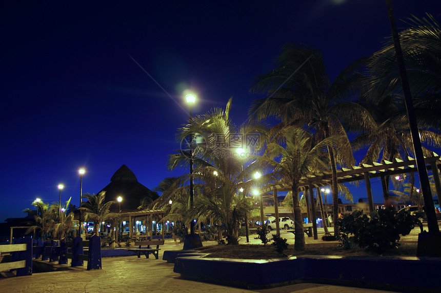 莫雷洛斯港夜间棕榈树旅游假期地标街道风景植物公园海滩海岸村庄图片