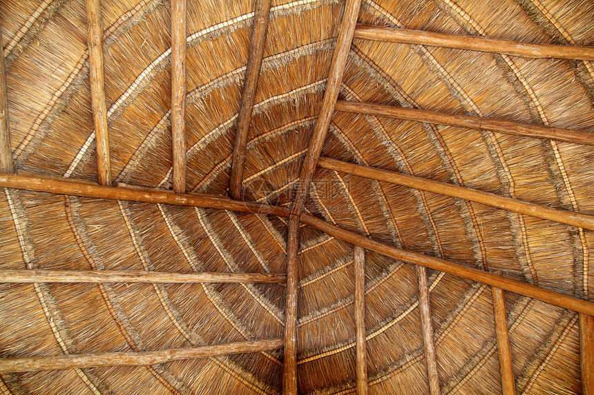 墨西哥的木屋屋顶小木屋详细细节房子情调光束热带白话木头缝纫手工植物棕榈图片