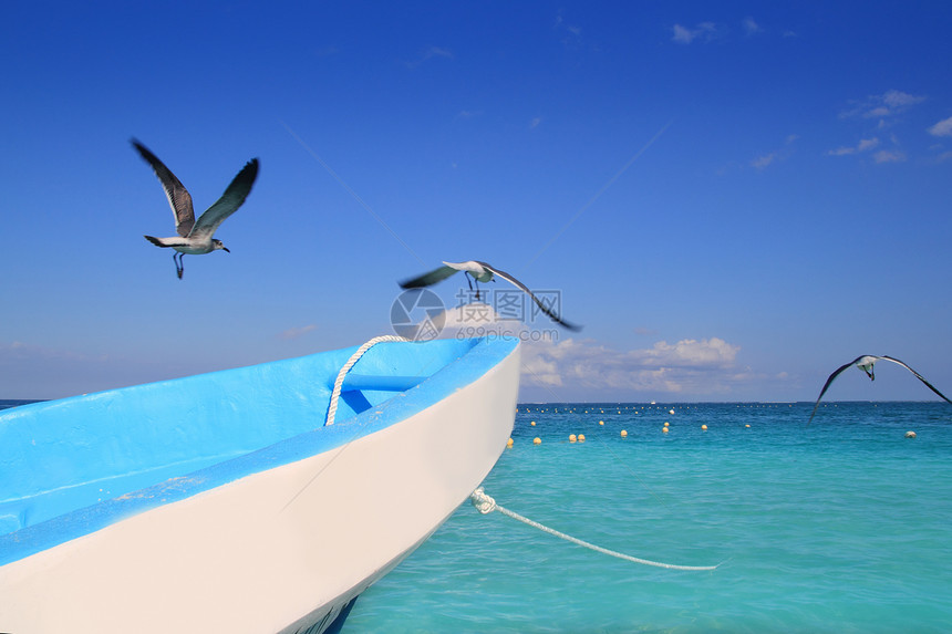 加勒比绿松石海西瓜海天堂海洋浮标地标天空海鸥假期鸟类海景木头图片