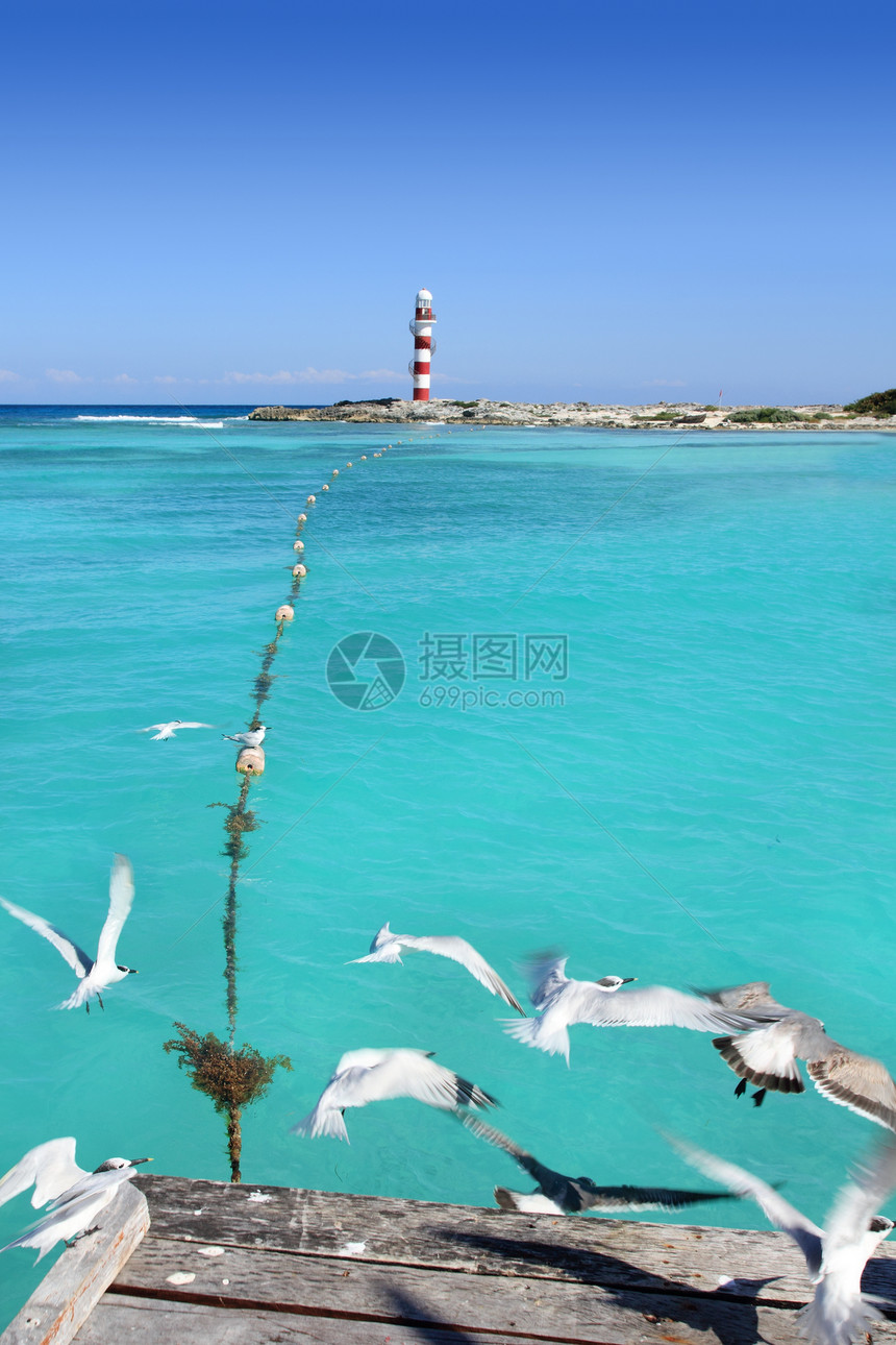 海鸥码头的坎昆灯塔视图图片