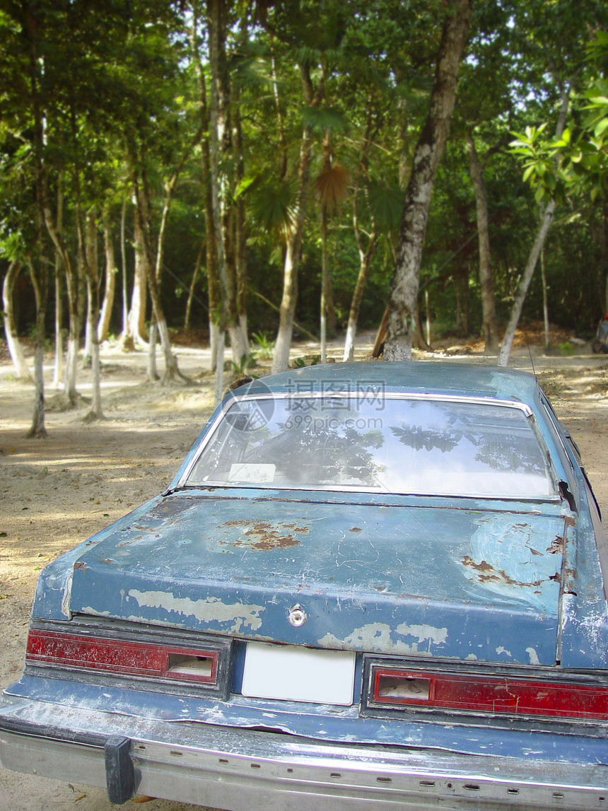 古老生锈的旧美国车在丛林上图片