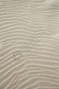 卷状沙浪型样图沙漠晴天太阳起伏沙丘线条宏观海岸海滩假期背景图片
