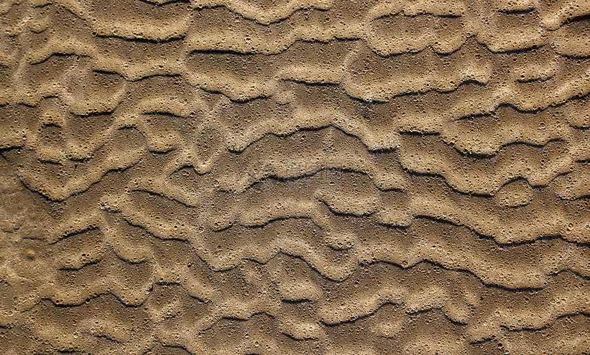 棕色湿润纹理图案波纹海岸旅行地标地形假期海滩海浪海洋太阳图片