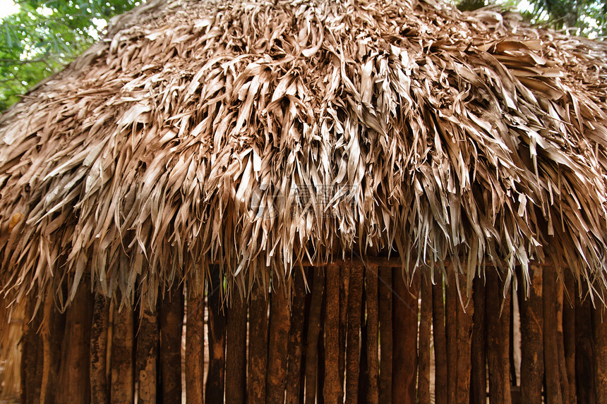玛雅人房屋的屋顶墙壁手工通体圆圈热带栅栏小屋情调丛林植物白话图片