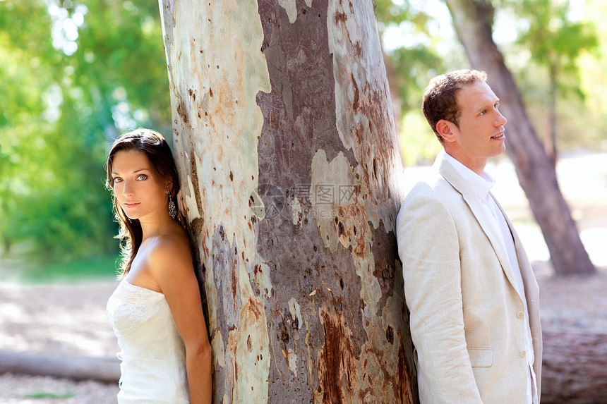 在公园户外树上相爱的情侣快乐森林丈夫庆典男人蜜月恋人成人婚姻新娘裙子图片