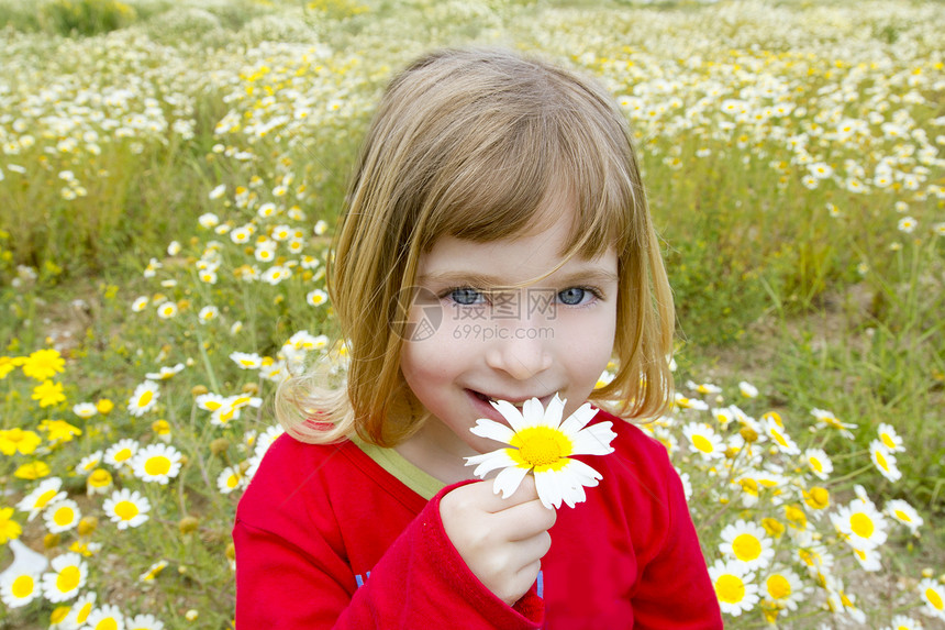金发金发小金发女孩 闻着菊花的香味 春花草地微笑童年女儿环境雏菊铭文场地孩子幸福眼睛图片