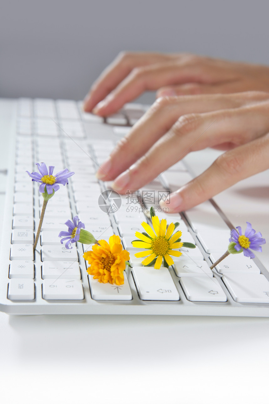 妇女双手打键盘的生态概念互联网程序员女性礼物网络女士办公室指甲硬件工作图片