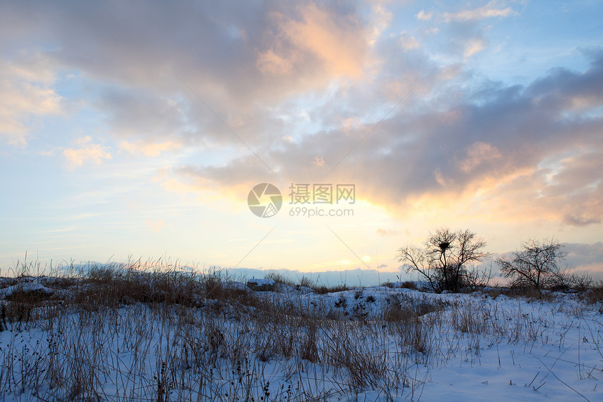 冬天日出天空太阳天气木头森林日落季节旅行阳光图片