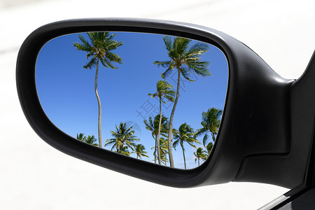 天堂镜子后视汽车驾驶镜热带棕榈树背景