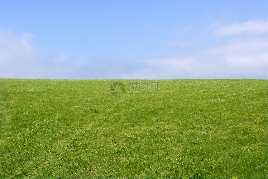 绿草草地平面和蓝天空地平线国家风景蓝色季节场地天空土地晴天美丽图片