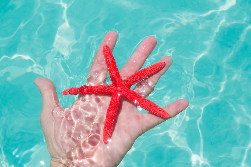 人类手中的红海星漂浮支撑宏观海滩波纹阴影橙子海浪阳光反射情调图片
