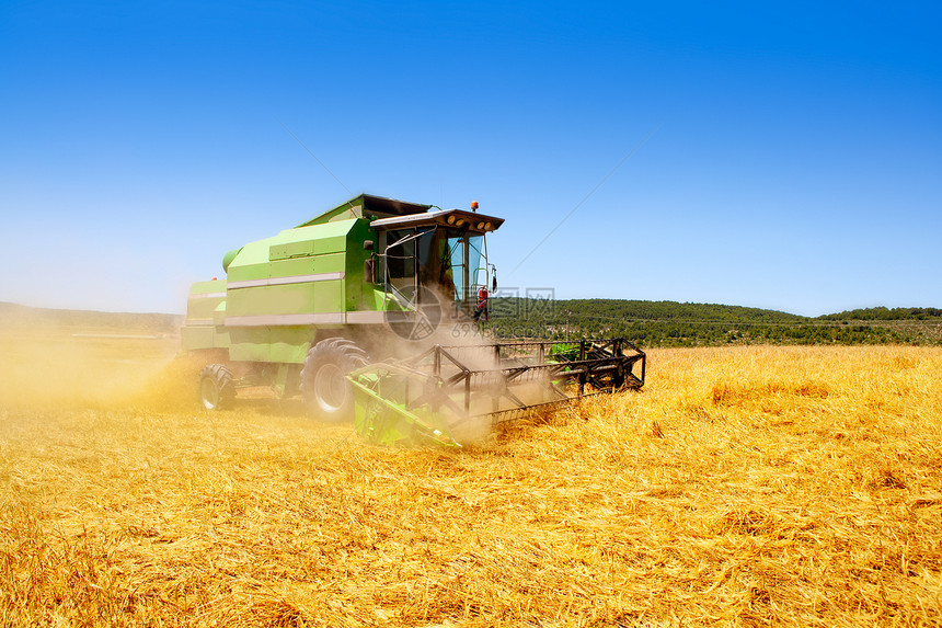 收获小麦谷类的合并收割者车轮晴天耕作柴油机力量收成拖拉机农场国家工作图片