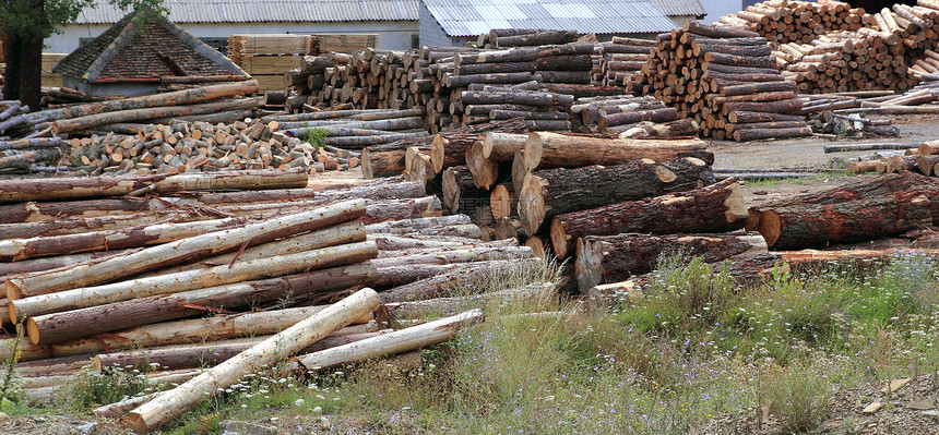 堆叠在户外的木材工业干线日志树干库存贮存活力林业环境松树木头戒指图片
