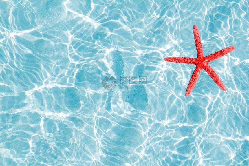 松绿沙滩上漂浮的红海星天堂阳光橙子反射星星阴影支撑波纹海岸海浪图片