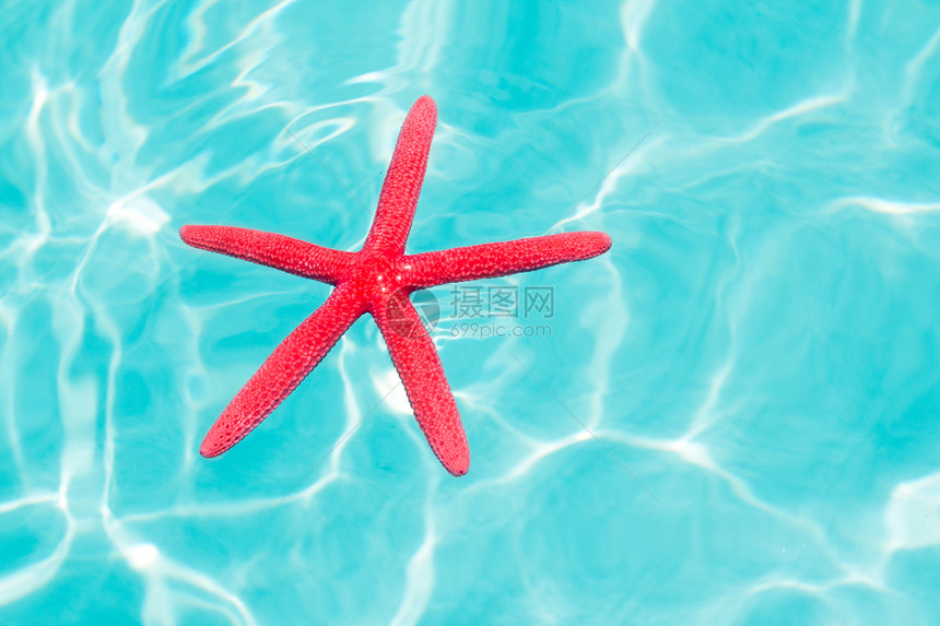 在完美的热带海洋上漂浮的红海星反射海岸橙子支撑阳光海星蓝色星星阴影海滩图片