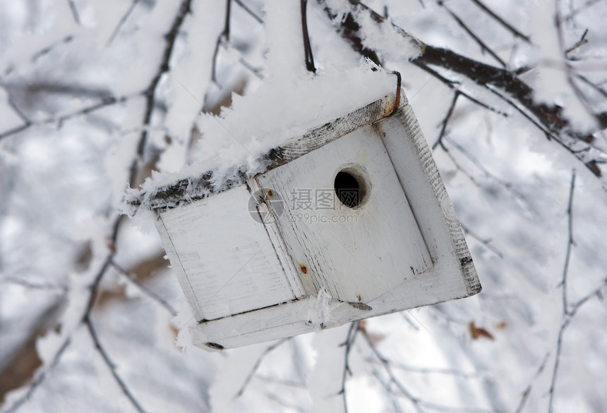 冬天的鸟屋鸟巢木头鸟舍盒子爱好手工住宅野生动物鸟类风化图片