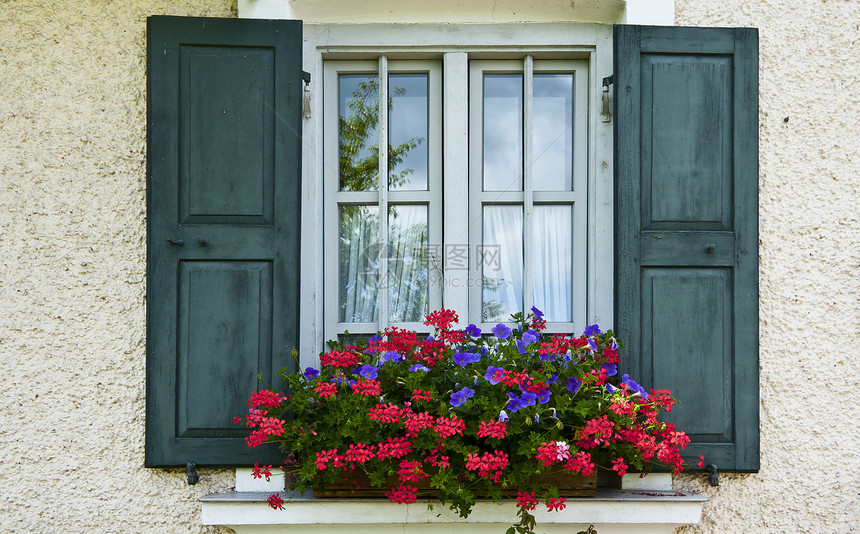 窗户房子水泥木板玻璃螺栓合页花瓣植物学快门风格图片