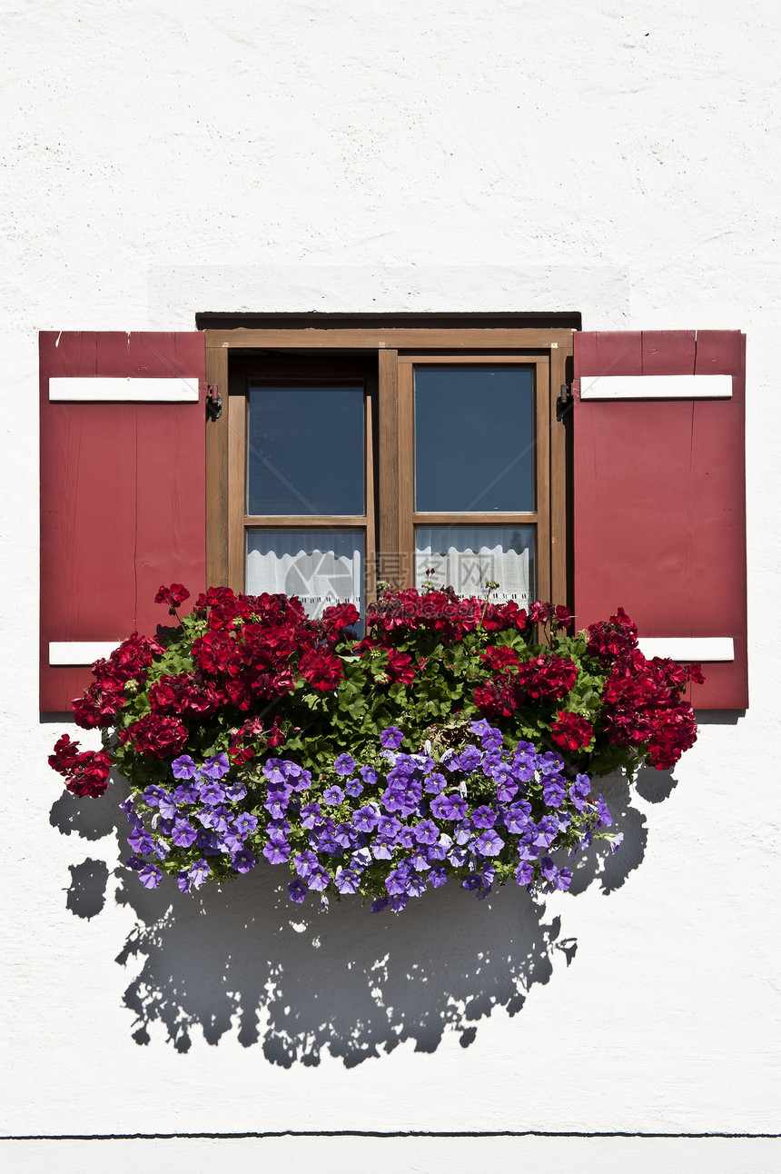 巴伐利亚窗口合页住宅木板玻璃房子花瓣木头装饰水泥石膏图片