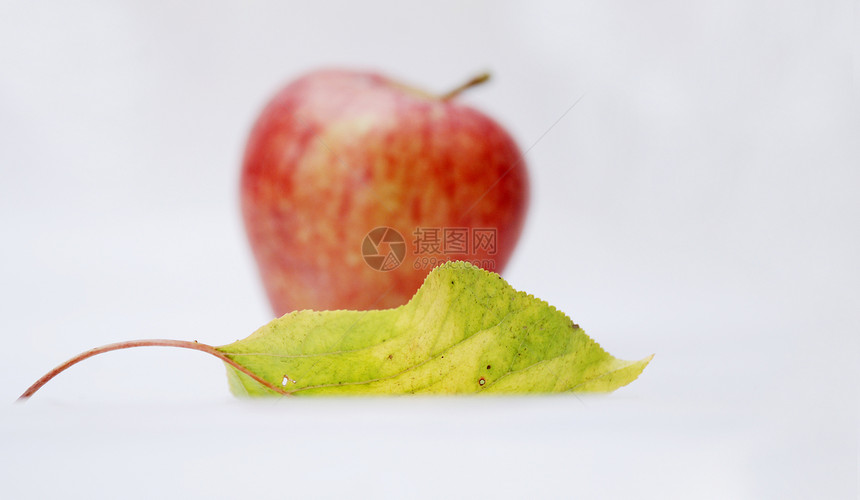 苹果和叶子洗涤水滴水果饮食宏观食物红色白色绿色小吃图片