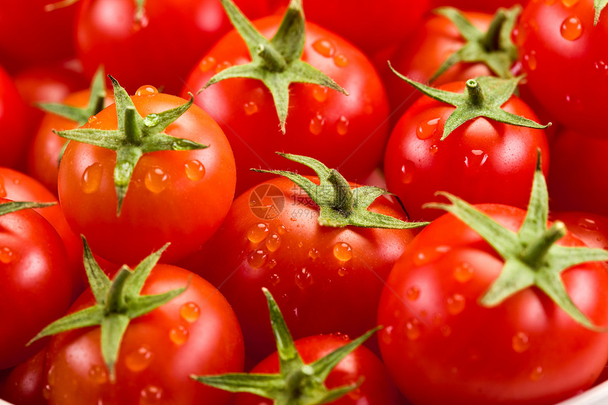 番茄背景香菜红色蔬菜有机食品西红柿照片白色食物沙拉宏观图片