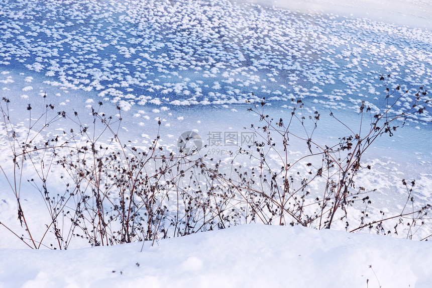 冬季现场蓝色水路植物装饰品下雪雪花渠道天蓝色沿海晴天图片
