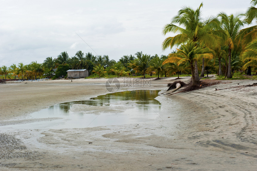 环礁湖排水假期小屋椰子树干热带绿色旅行海滩图片