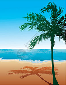 特立尼达海滩背景 9插画