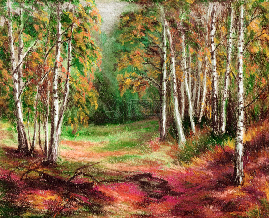 图片 秋季森林天气艺术树林颜料插图手绘油画桦木画家植物图片