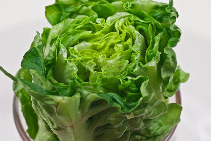 一个切片的生菜尾巴收成沙拉青菜生长农场生产小吃蔬菜纤维图片