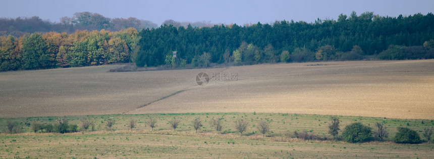 农田 草地和森林土地植物农村农业美化环境绿色场景乡村风景图片