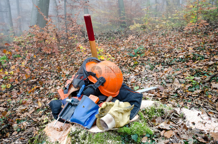 木材加工工具的工具力量树干斧头危险木头樵夫林业手套森林树木图片