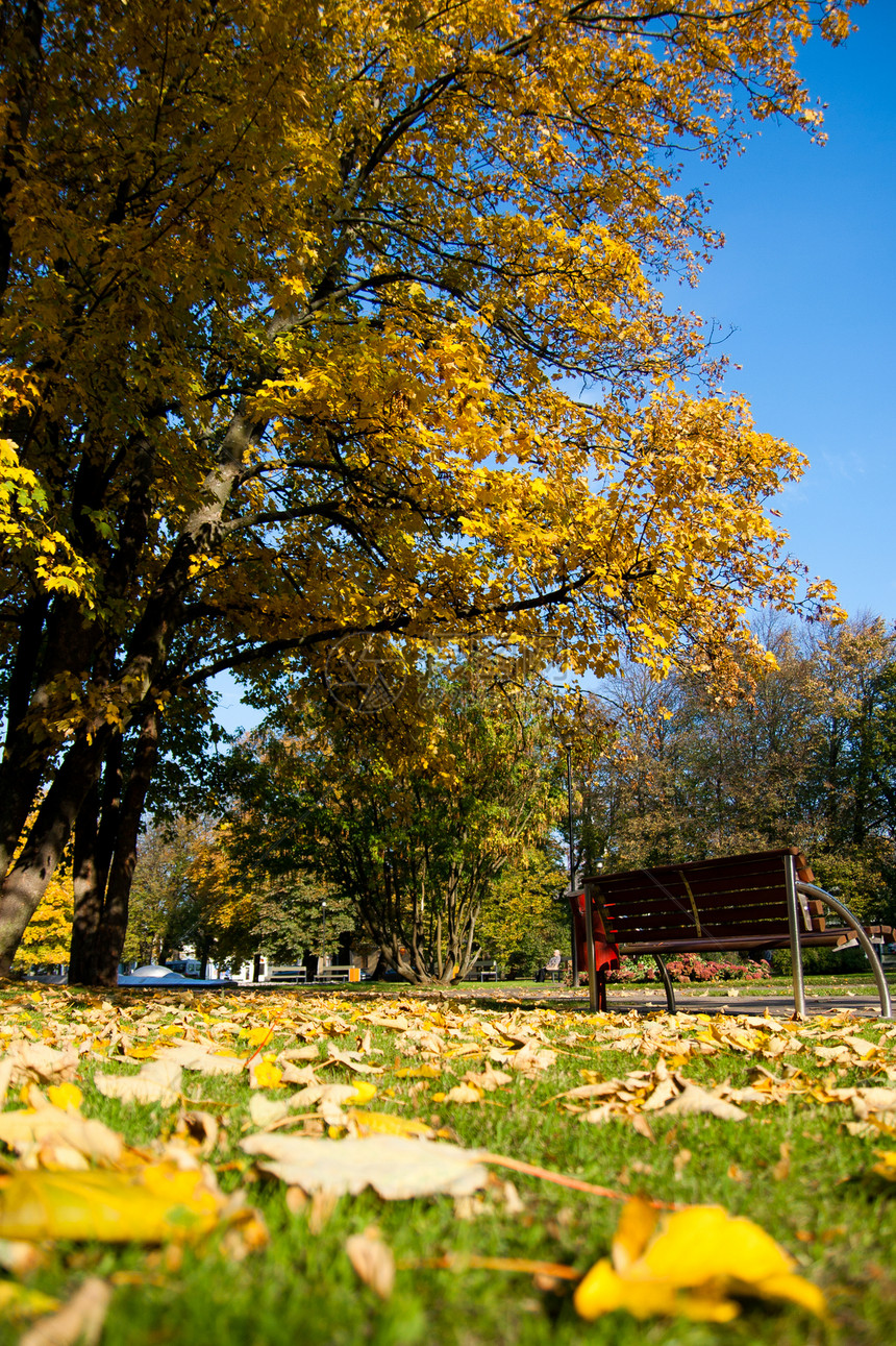 秋季假期公园季节橙子长椅黄色图片