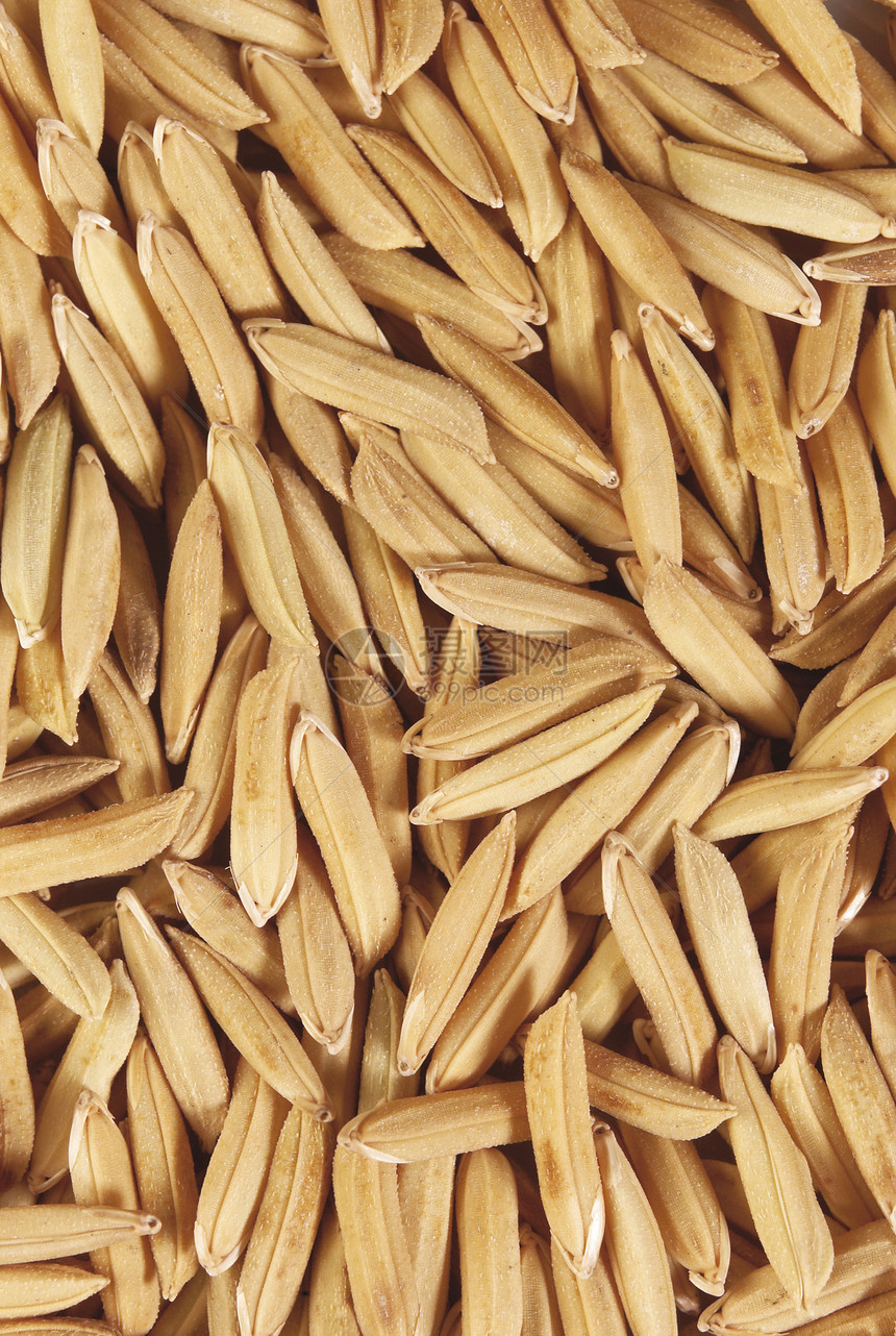 稻田食物粮食收成主食培育生产茉莉花农场图片