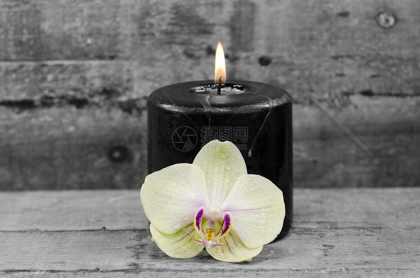 黑蜡烛和兰花图片
