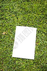 空白白白传单小册子白色场地环境绿色财产销售公园背景图片
