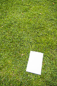 空白白白传单小册子绿色场地公园财产销售环境白色背景图片
