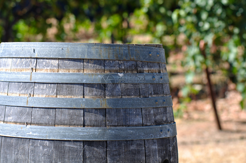 酒桶和葡萄园季节木头植物天空木桶农业水果藤蔓酒精酿酒图片