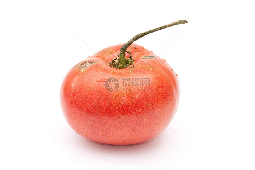 生态红番茄图片
