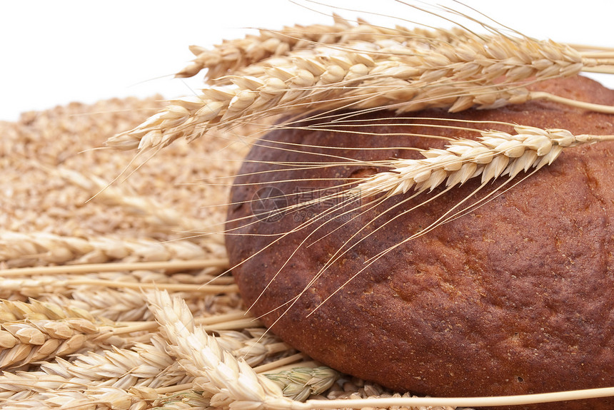 小麦和耳朵面包粮食谷物麻布食物植物种子白色图片
