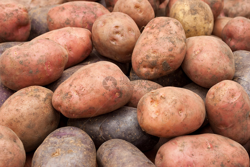马铃薯地球土豆蔬菜生产饮食厨房烹饪市场小吃食物图片