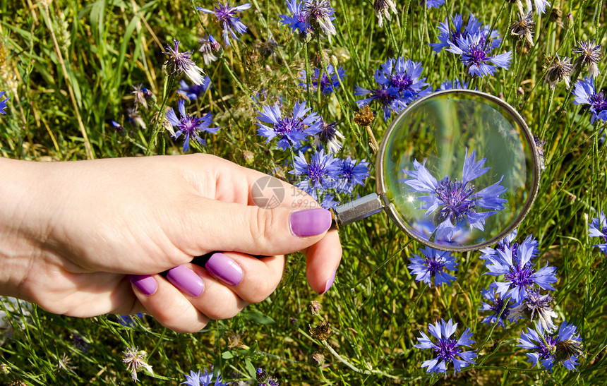 妇女手工钉子 放大玻璃蓝色花环图片