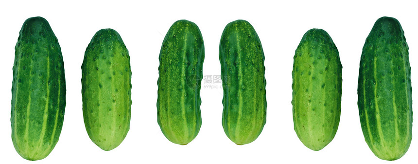 白背景的黄瓜绿色静物食物蔬菜营养生产纤维健康图片
