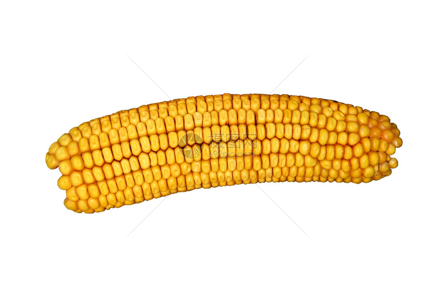 玉米的耳朵被隔绝粮食黄色食物生产内核蔬菜图片
