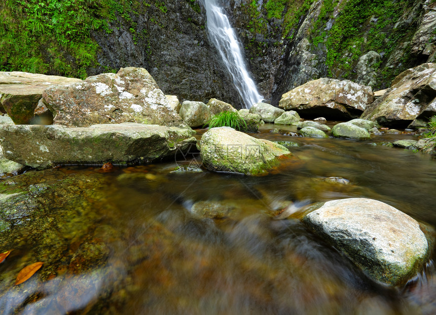 森林中的泉水叶子流动石头力量环境公园森林溪流墙纸热带图片
