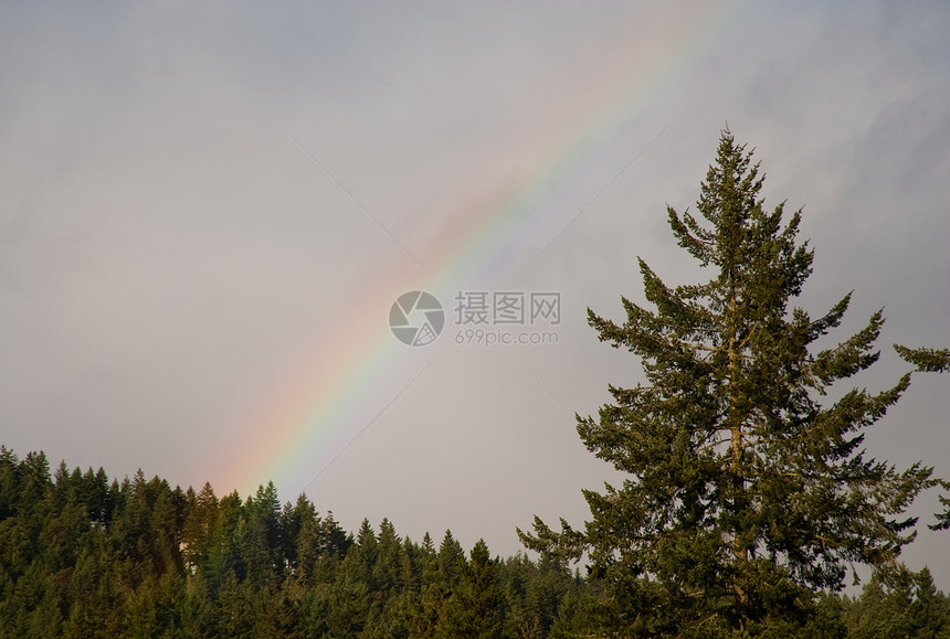 彩虹树木荒野天空天气环境风景图片