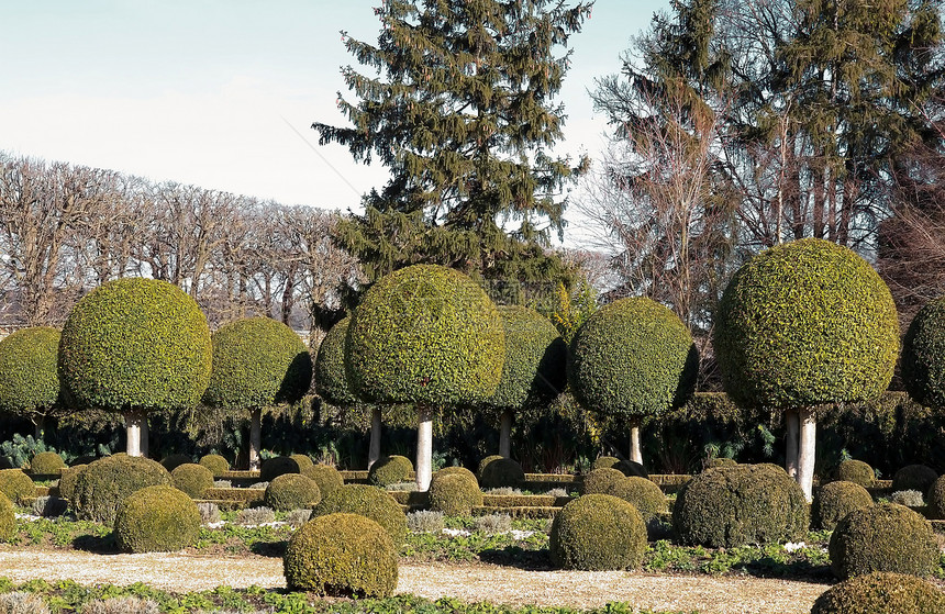 法属花园林木 法国花园尺寸灌木公园遗产城堡植被图片